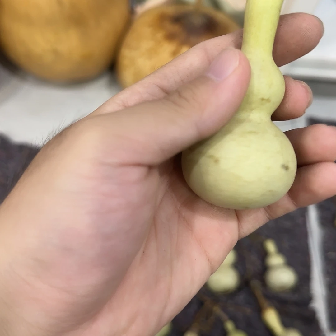 煮***锅葫芦sjdjsjsnssnsnsn