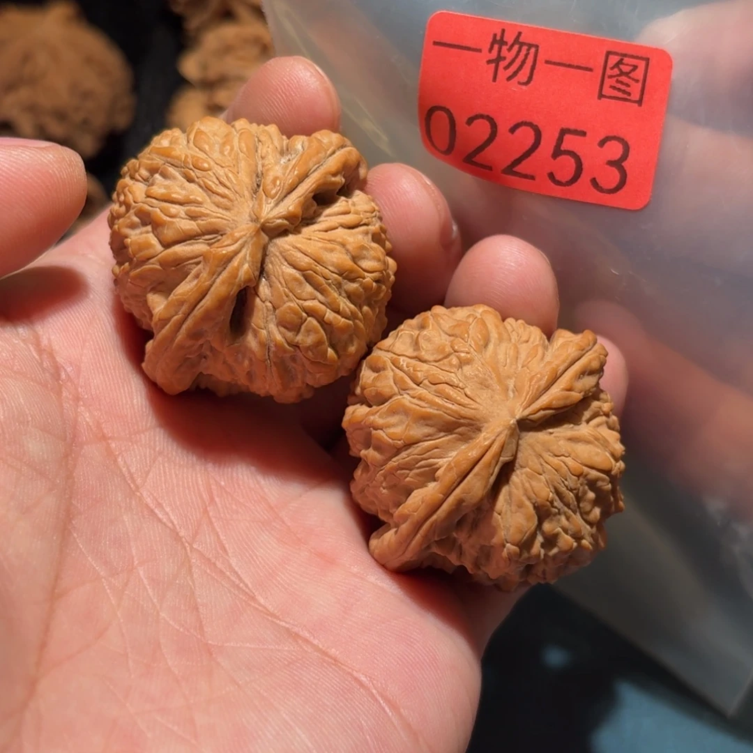 文玩核桃把件白狮子