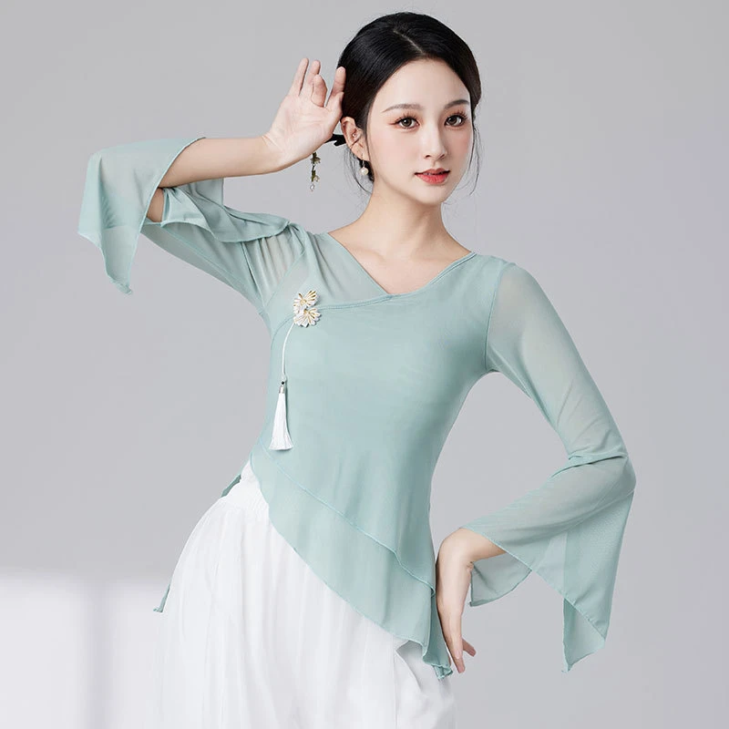 古典舞蹈服民族舞练功练功服形体中国舞艺考生训练服身韵上衣纱衣