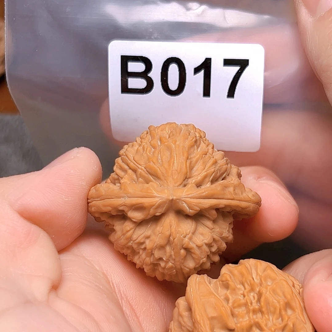 吊坠文玩核桃41白狮子