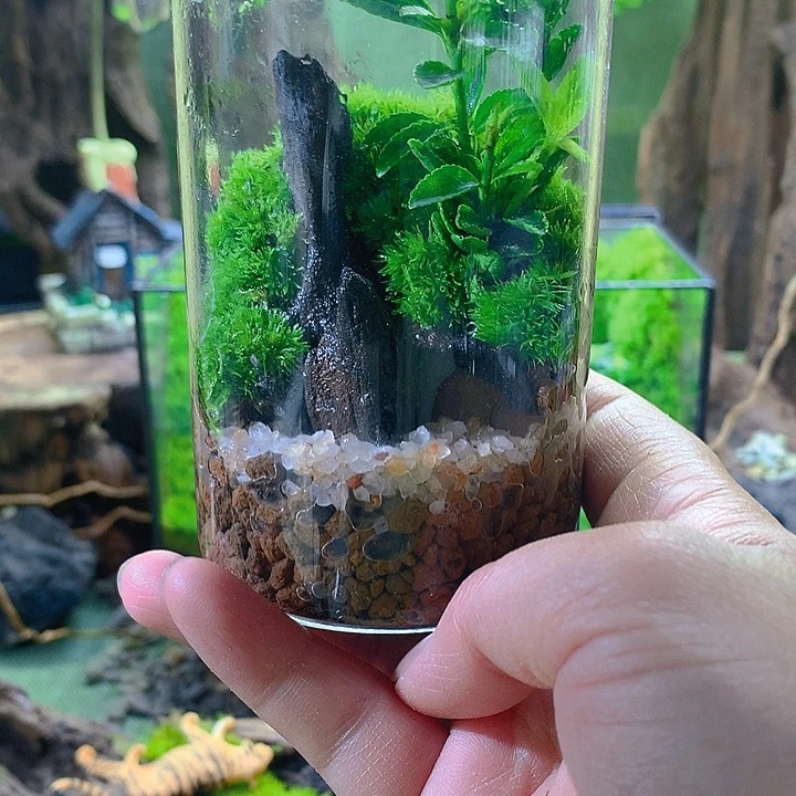 无花朵静心瓶小福利