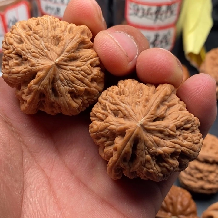 文玩核桃吊坠42粗筋