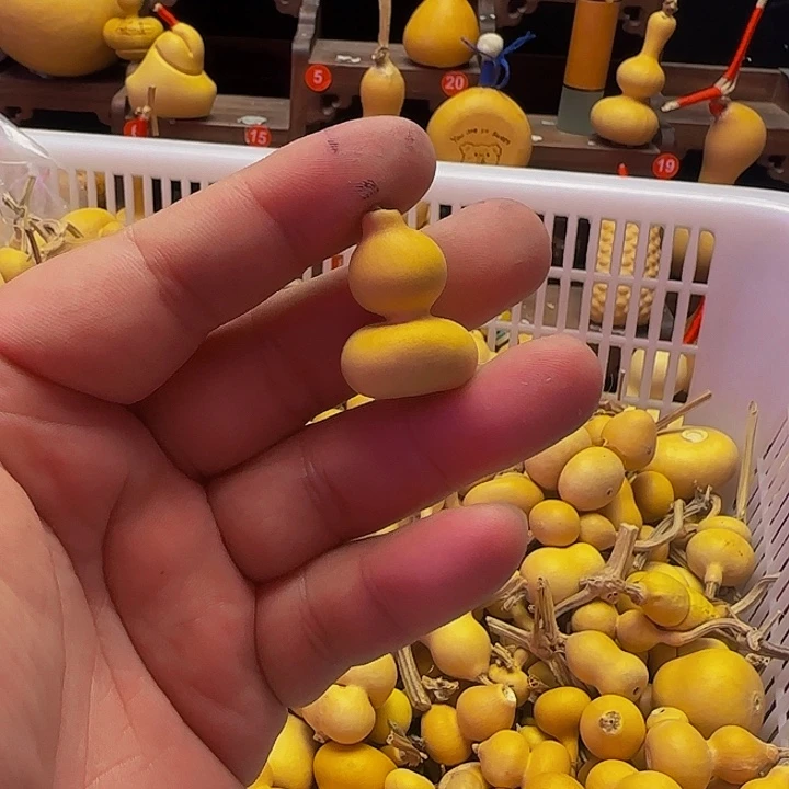 半**雪你说的时候就是一场旅行