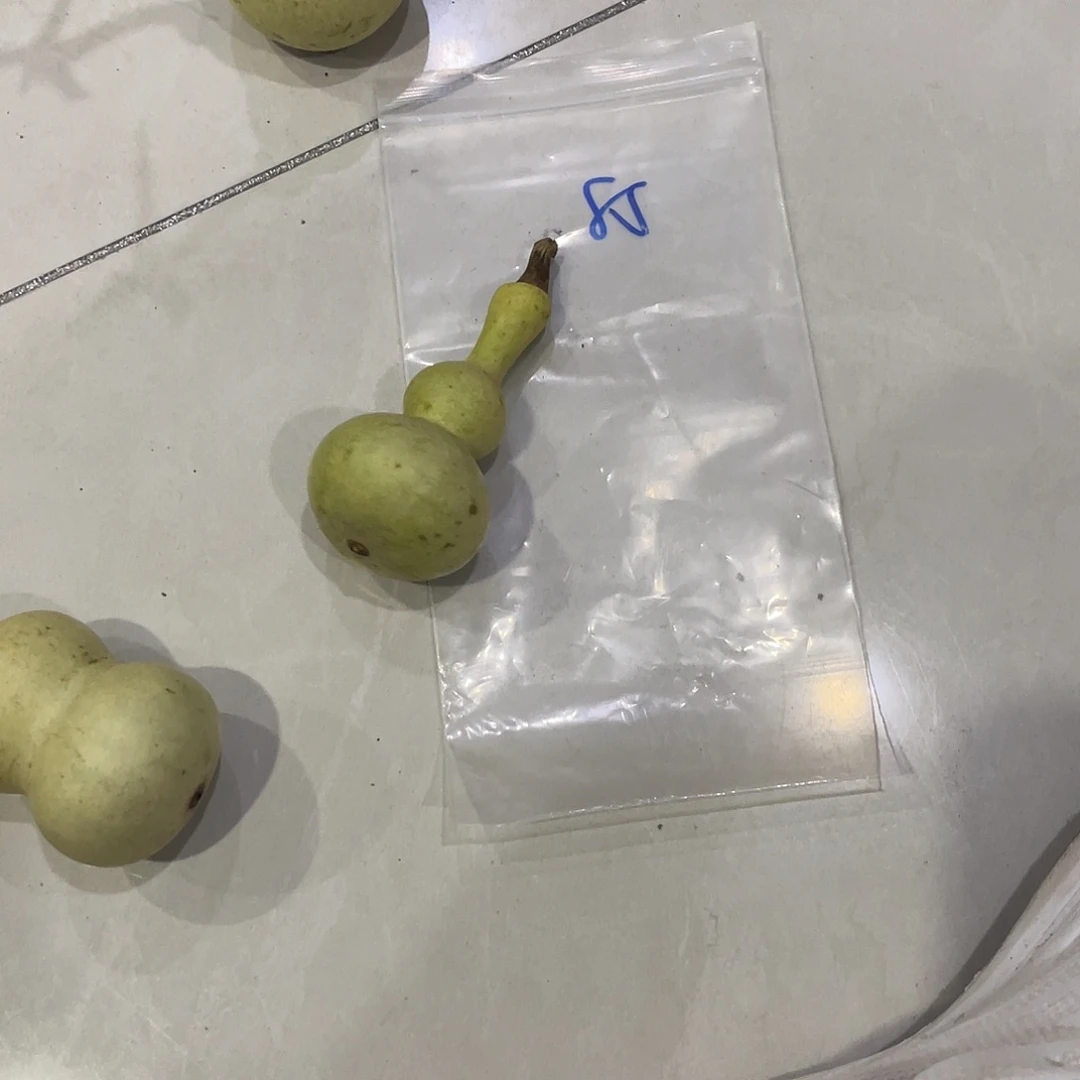 壹****把b和vv过哈哈哈哈哈