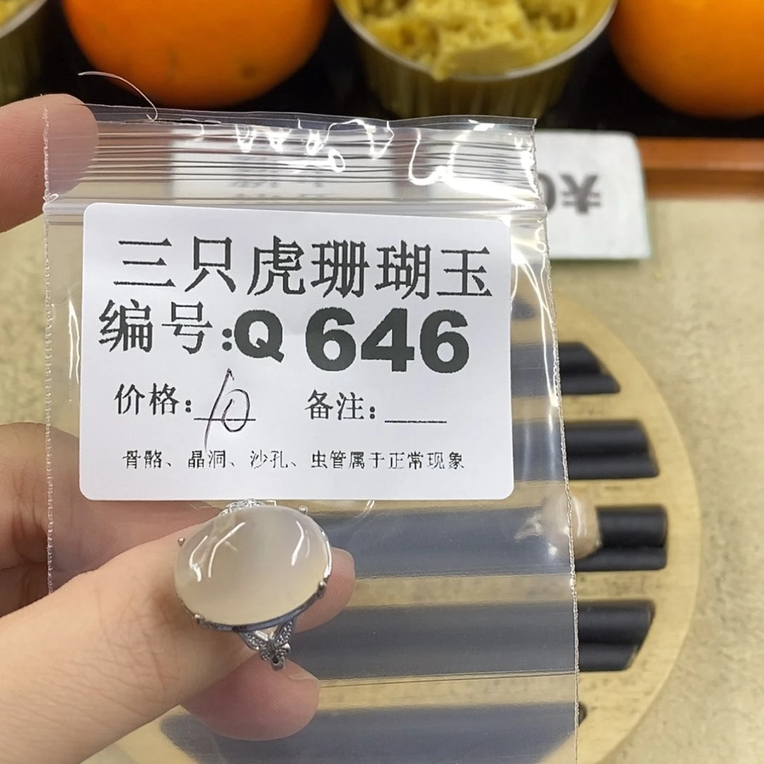 硅化珊瑚（珊瑚玉）1未镶嵌梓*