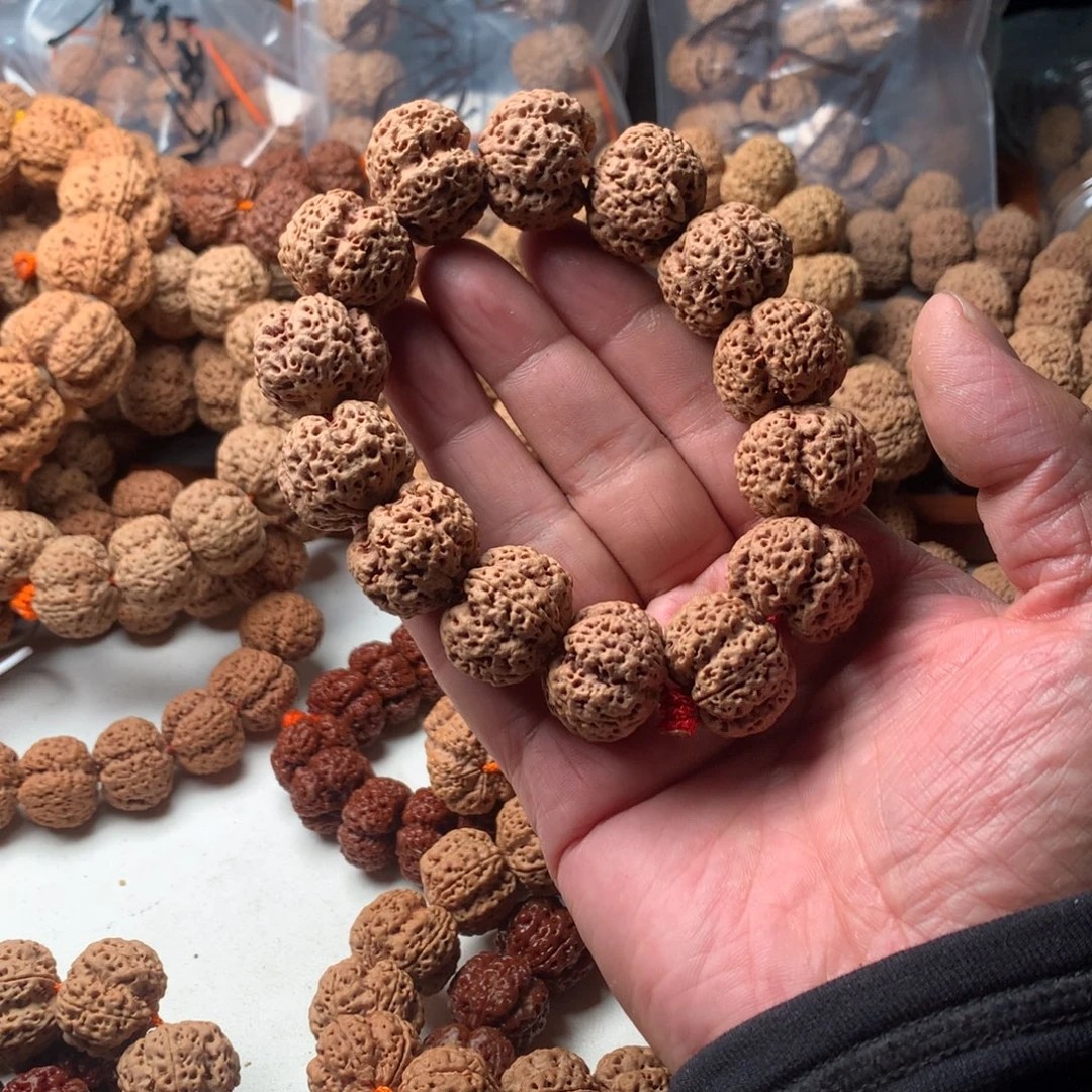 眸***雾手串金刚菩提23龙牙