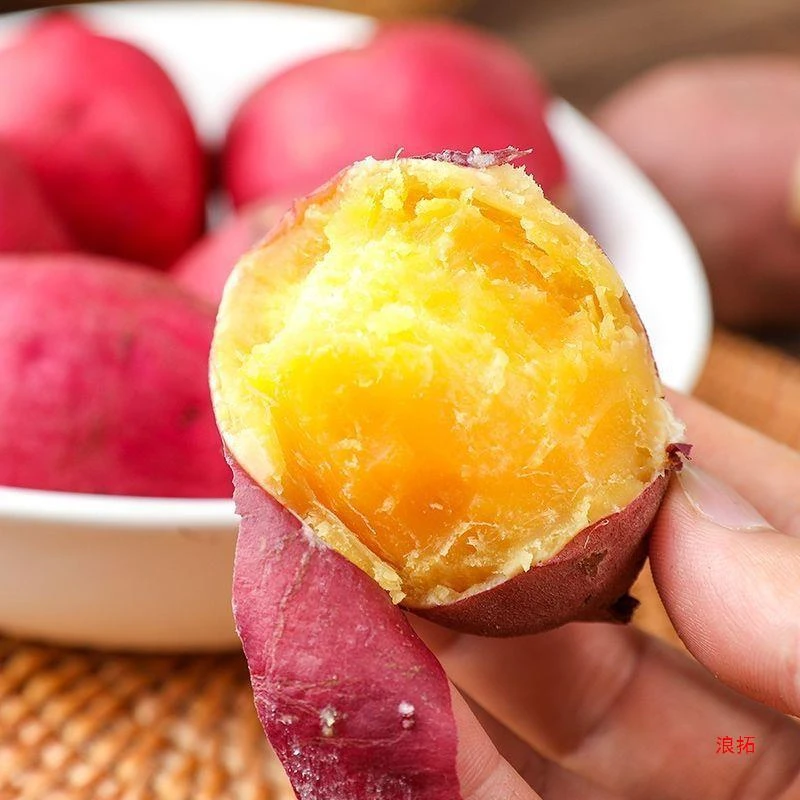 红薯临安天目山小香薯甜糯鸡蛋薯板栗地瓜现挖红皮黄心蜜薯