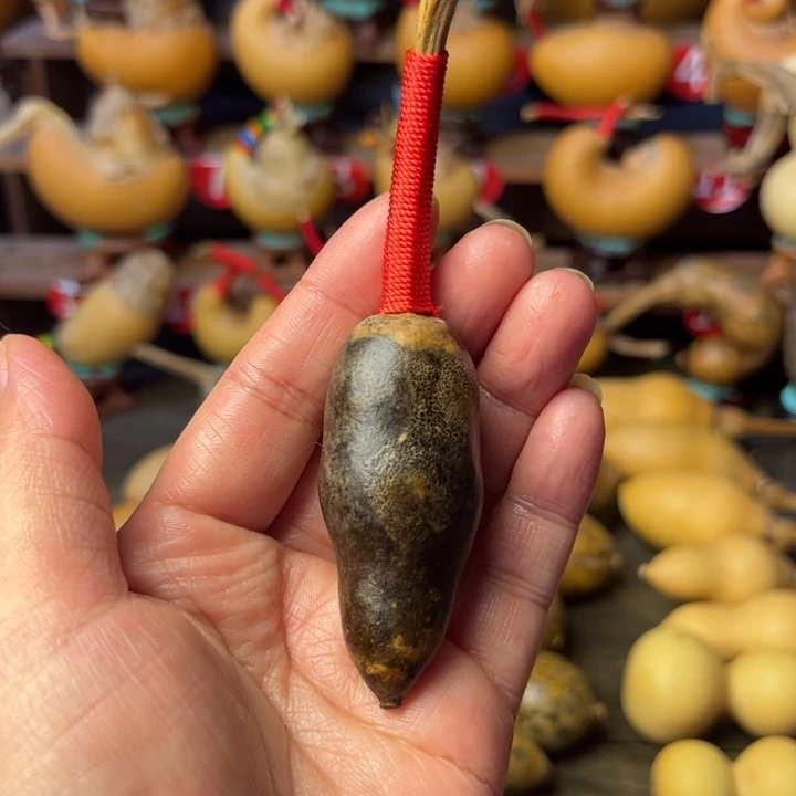 虎***子花皮葫芦天天开心