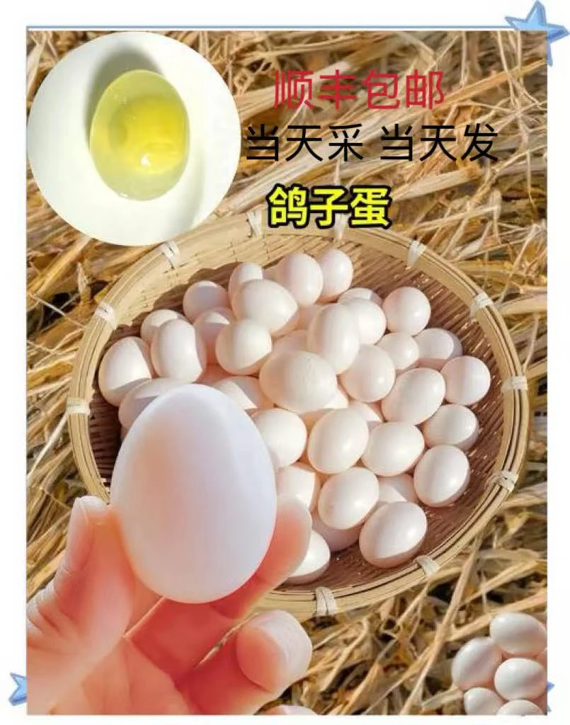 （顺丰破损包邮）杂粮鸽子蛋 新鲜鸽子蛋  现捡现发农家五谷喂养