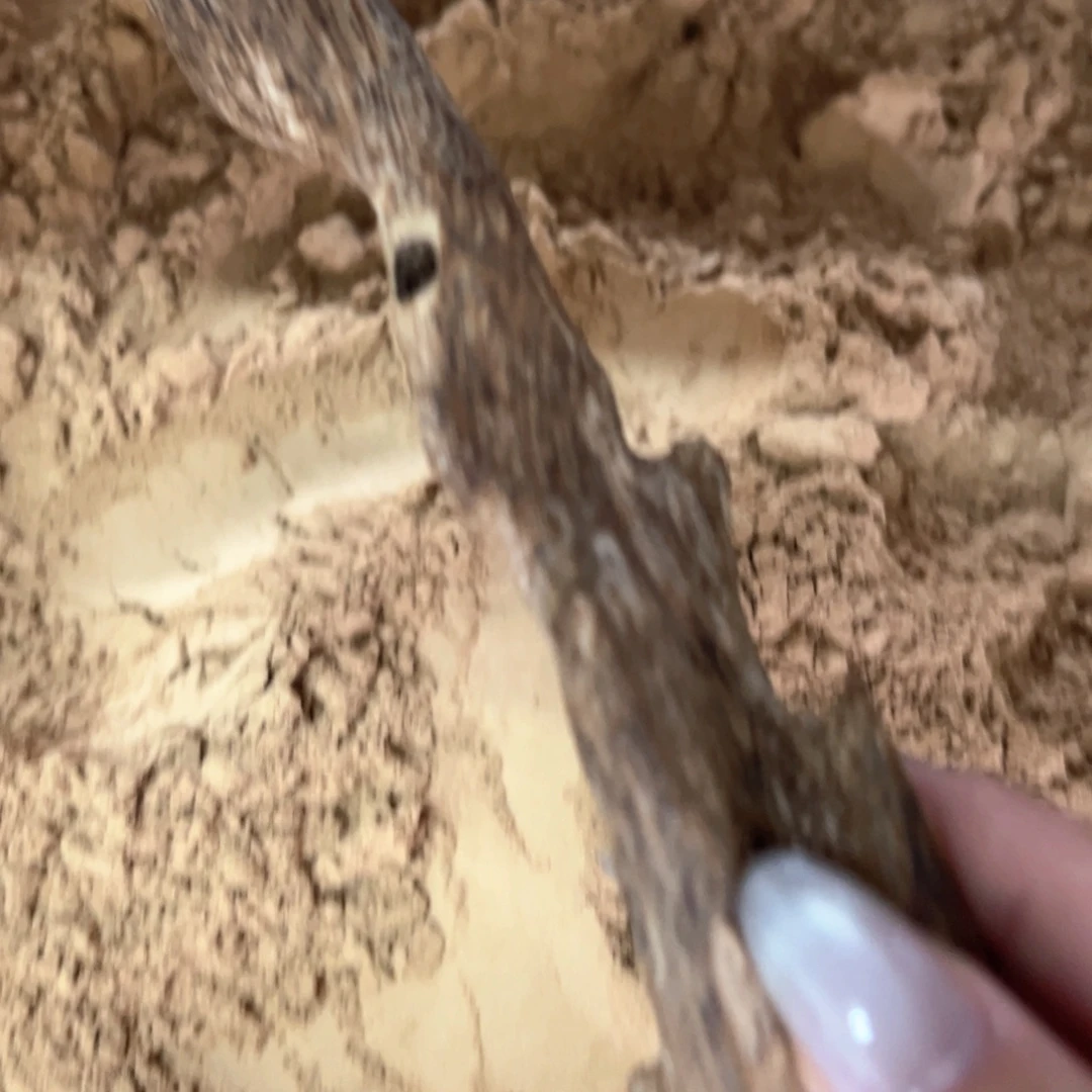 香榧木海南大山红油虫漏粉10克