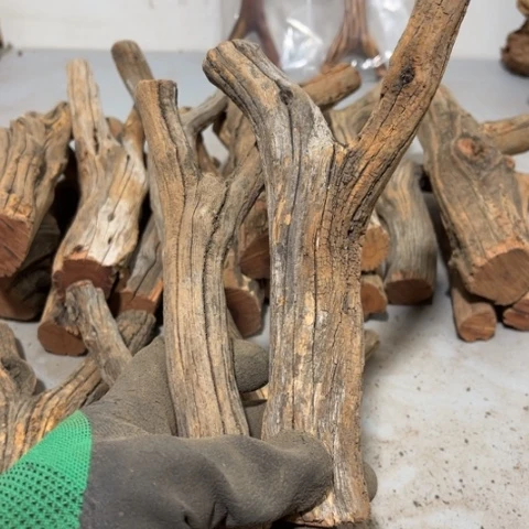 大果紫檀（缅甸花梨）?****?