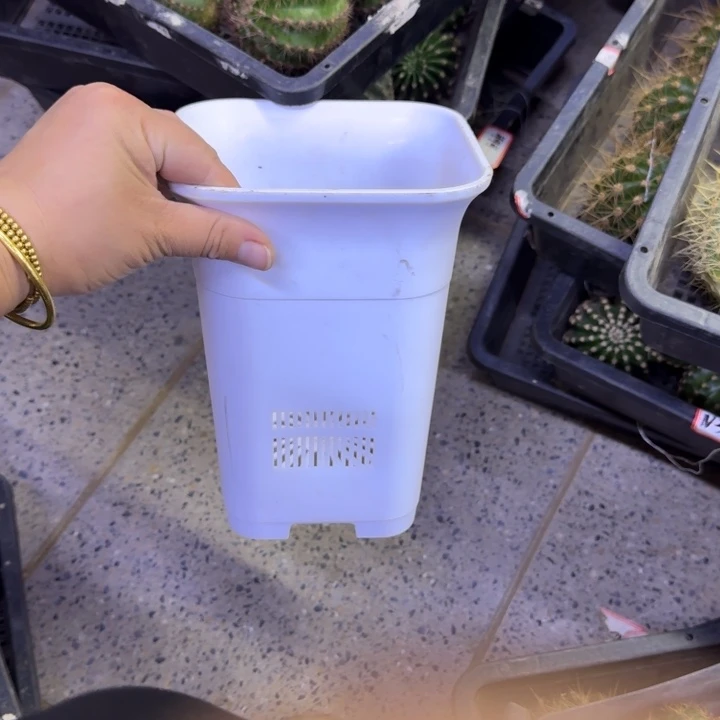 小白方5个无托，20包邮