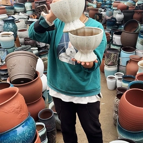 口20高17瑕疵两个盆。