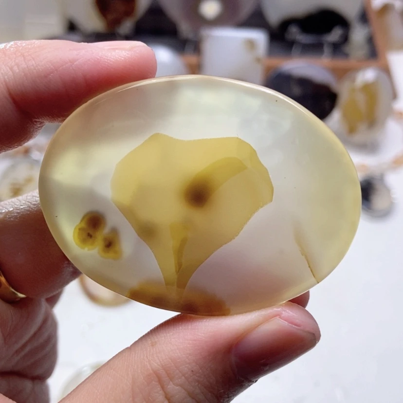 【闪购商品】玛瑙/玉髓颈饰未镶嵌低*哥