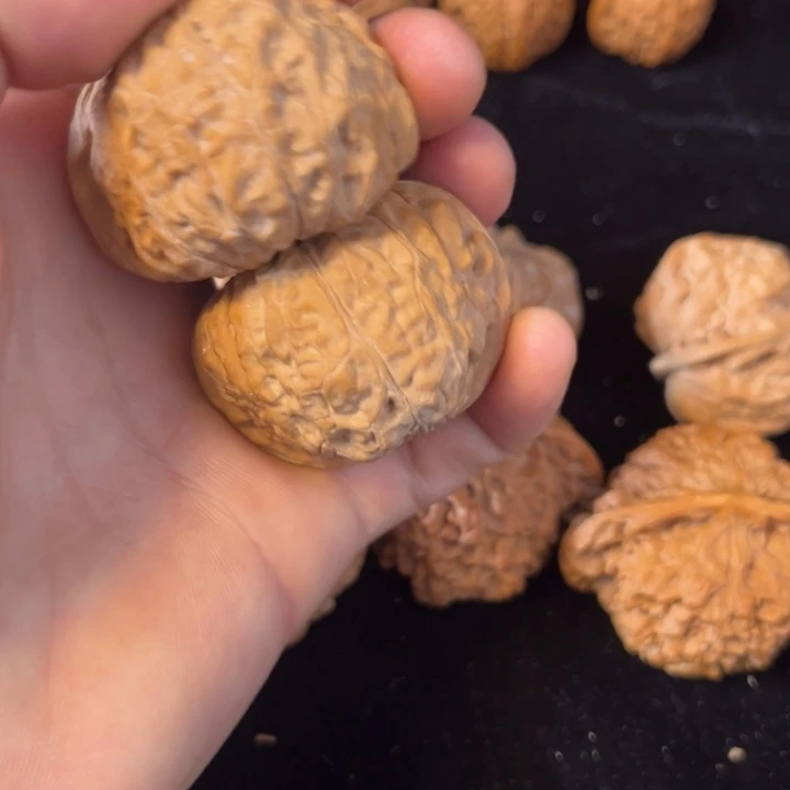 小****大大大南瓜墩44.5