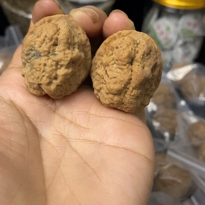 核桃云南铁核桃基地98