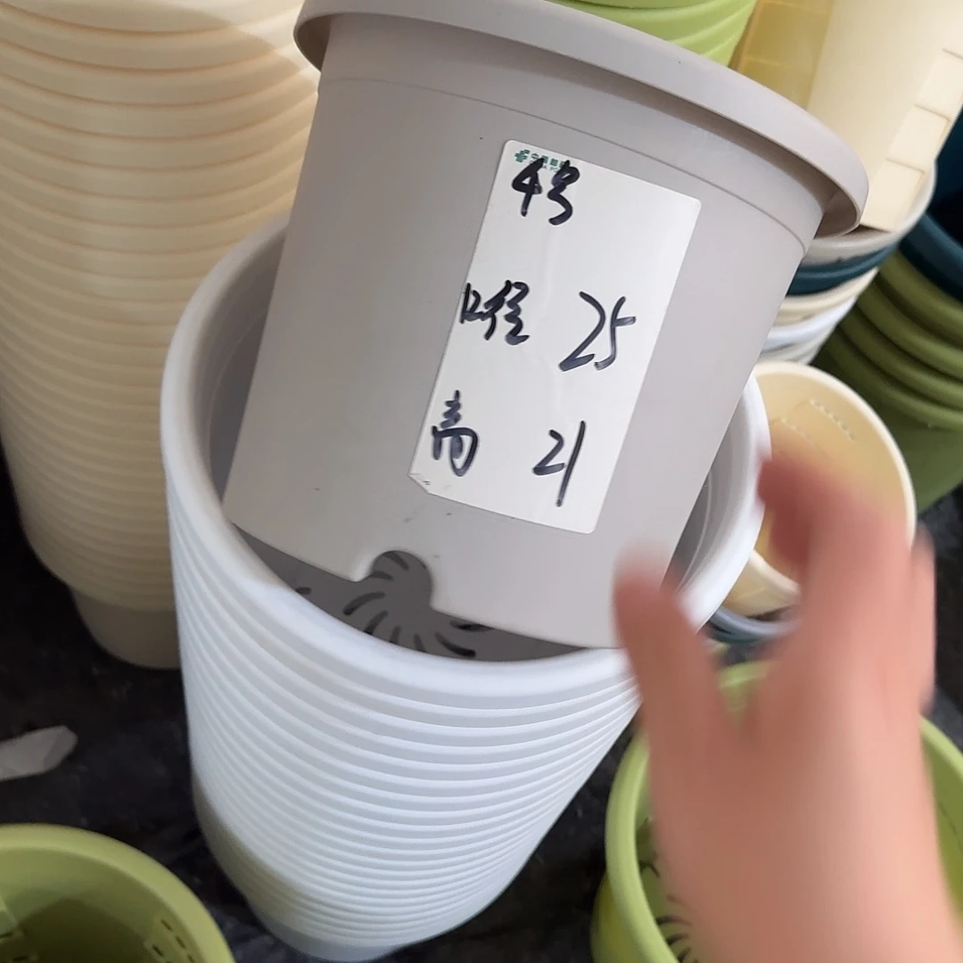 微瑕4号无托8个，灰白