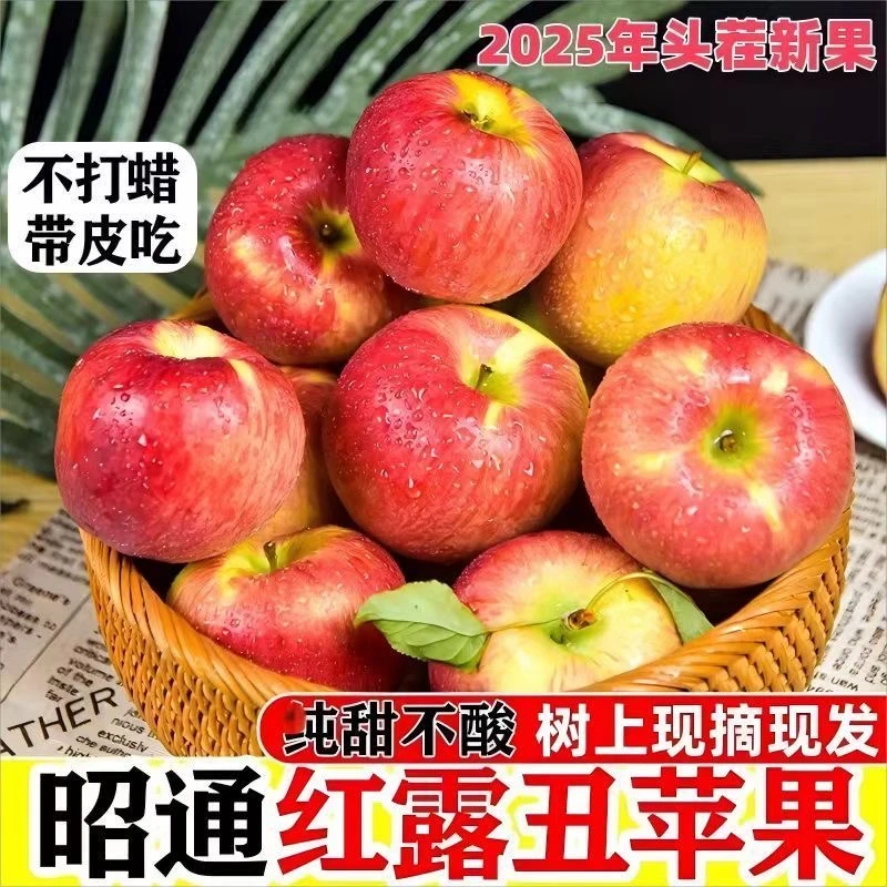 【福利】正宗昭通红露丑苹果15个装脆甜当季新鲜水果产地直发