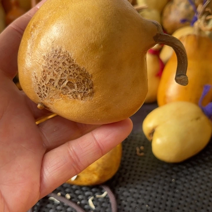 三****葫芦哈哈哈哈哈哈哈哈哈哈