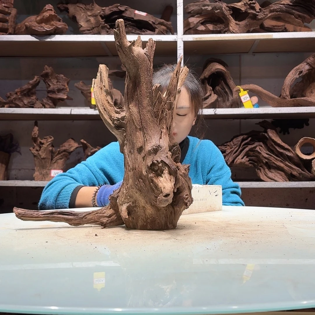 鑫品沉木不包损必褪色菩**爷6481