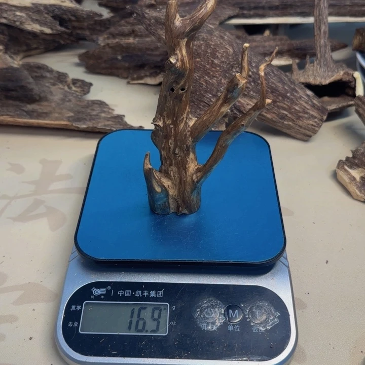 阿***哥沉香碎屑沉香沉香树根16.9克