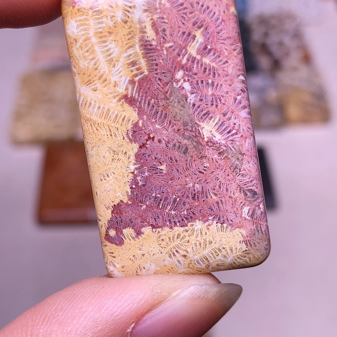 好***树硅化玉合金珊瑚玉