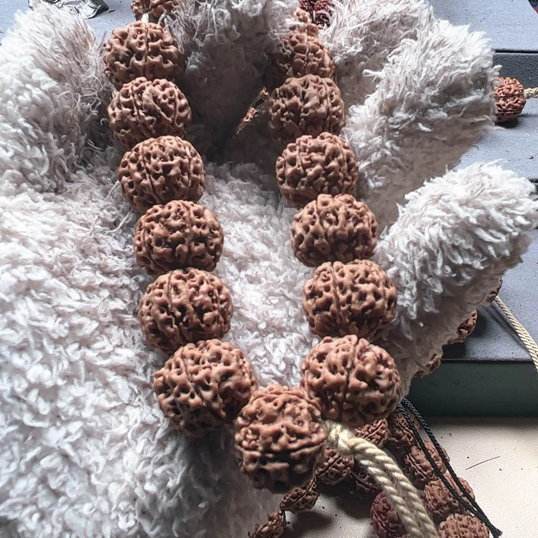 金刚菩提手串?****e19蜂窝双龙