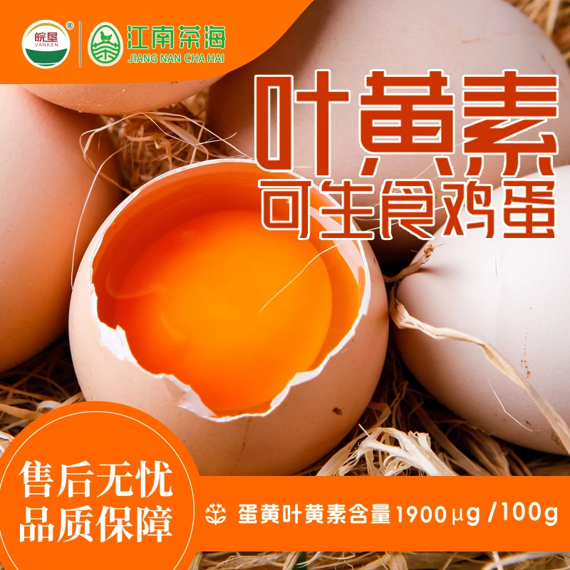 皖垦叶黄素无抗可生食鸡蛋顺丰包邮 30枚 1500g