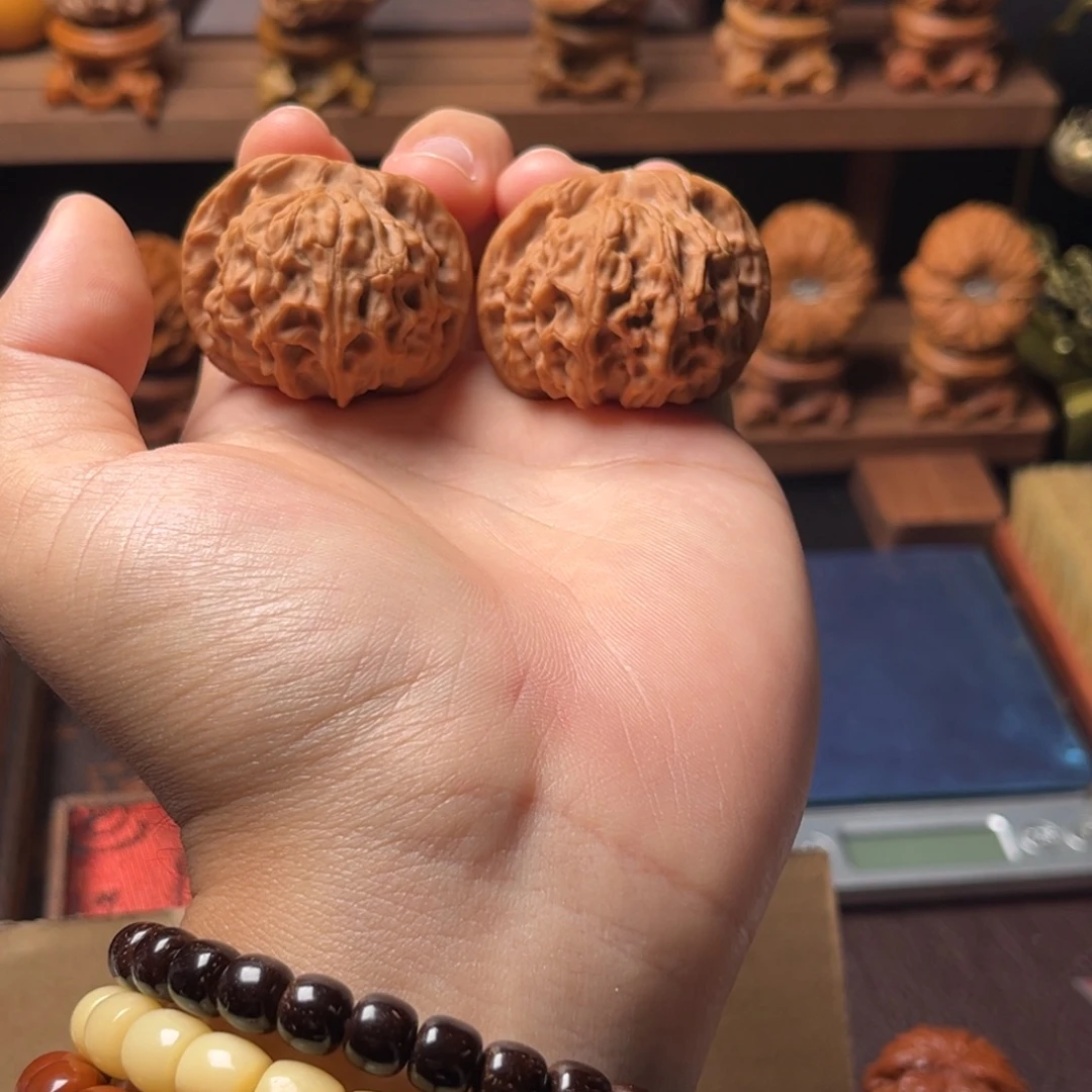 核桃41mm全品天地