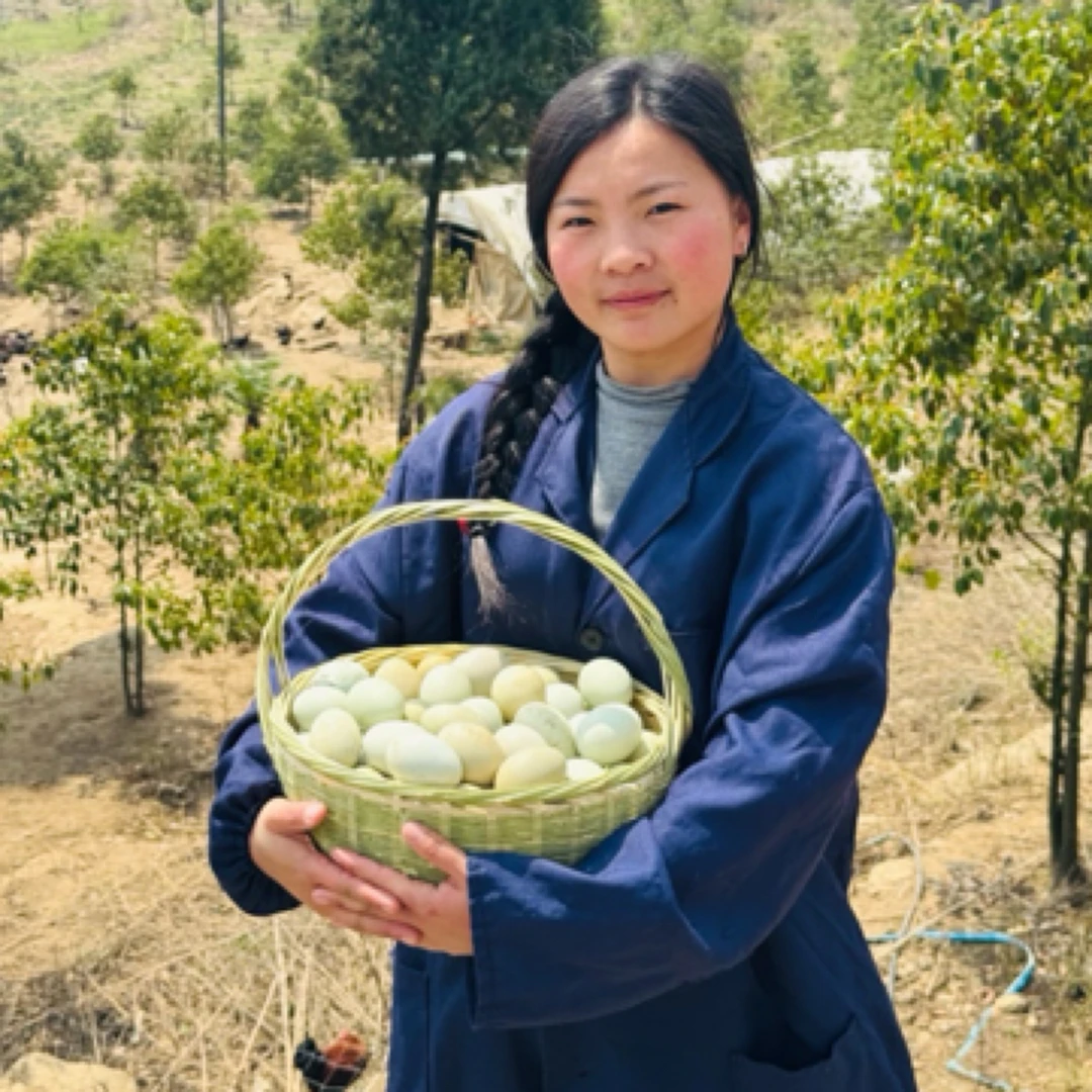 大竹县欧家镇高洞村新鲜绿壳土鸡蛋坏了包赔不好吃包退下单包邮
