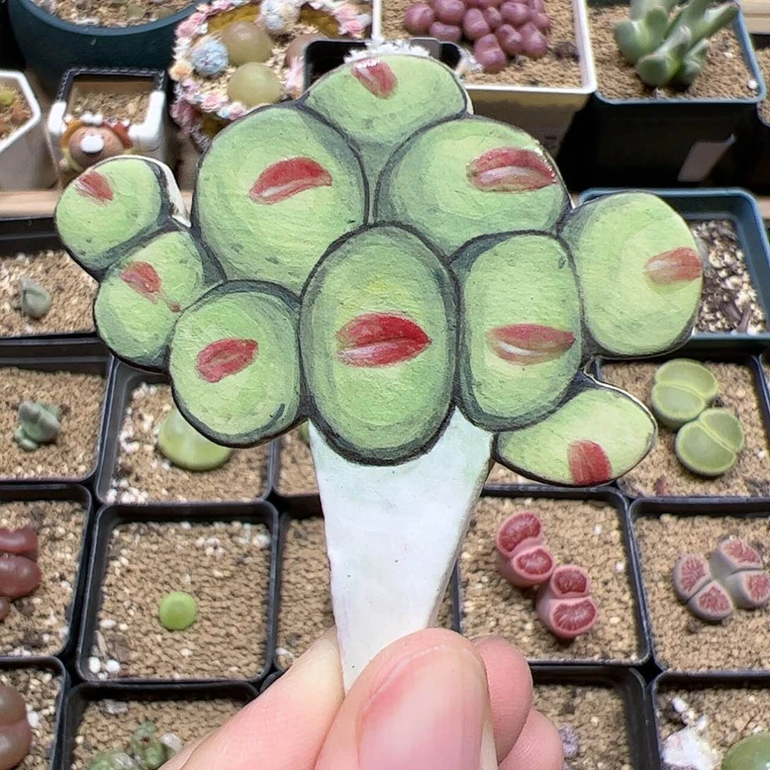 【闪购商品】小红嘴手绘插牌