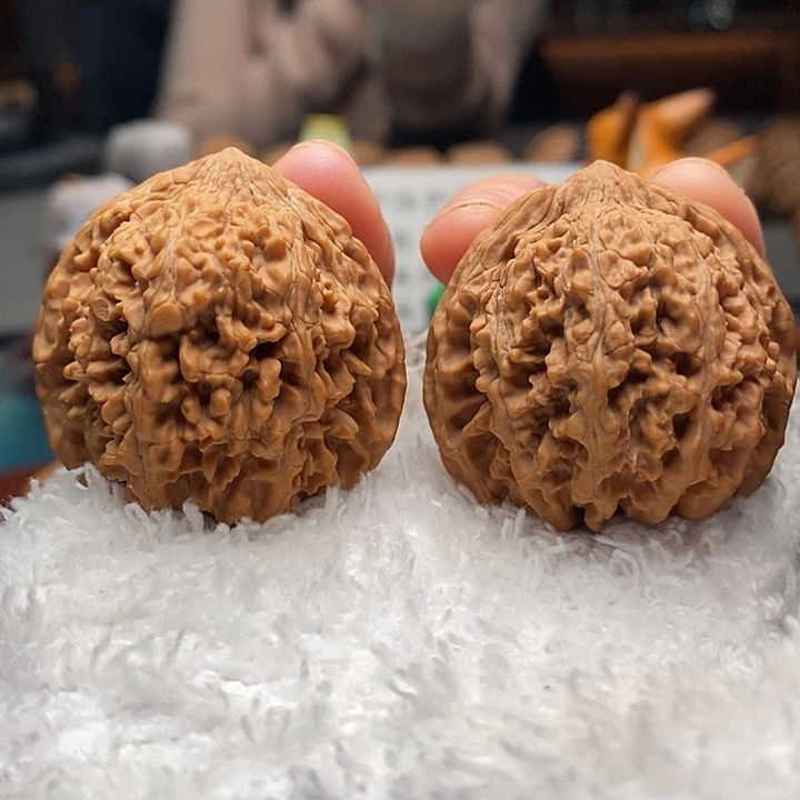 核桃13号 39尺满天星 全品