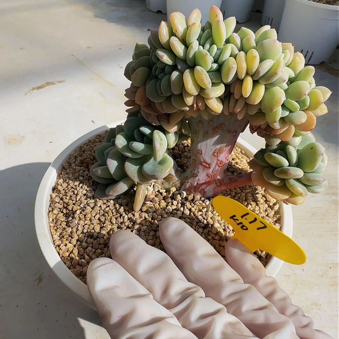 k k k k k k k k k k 10