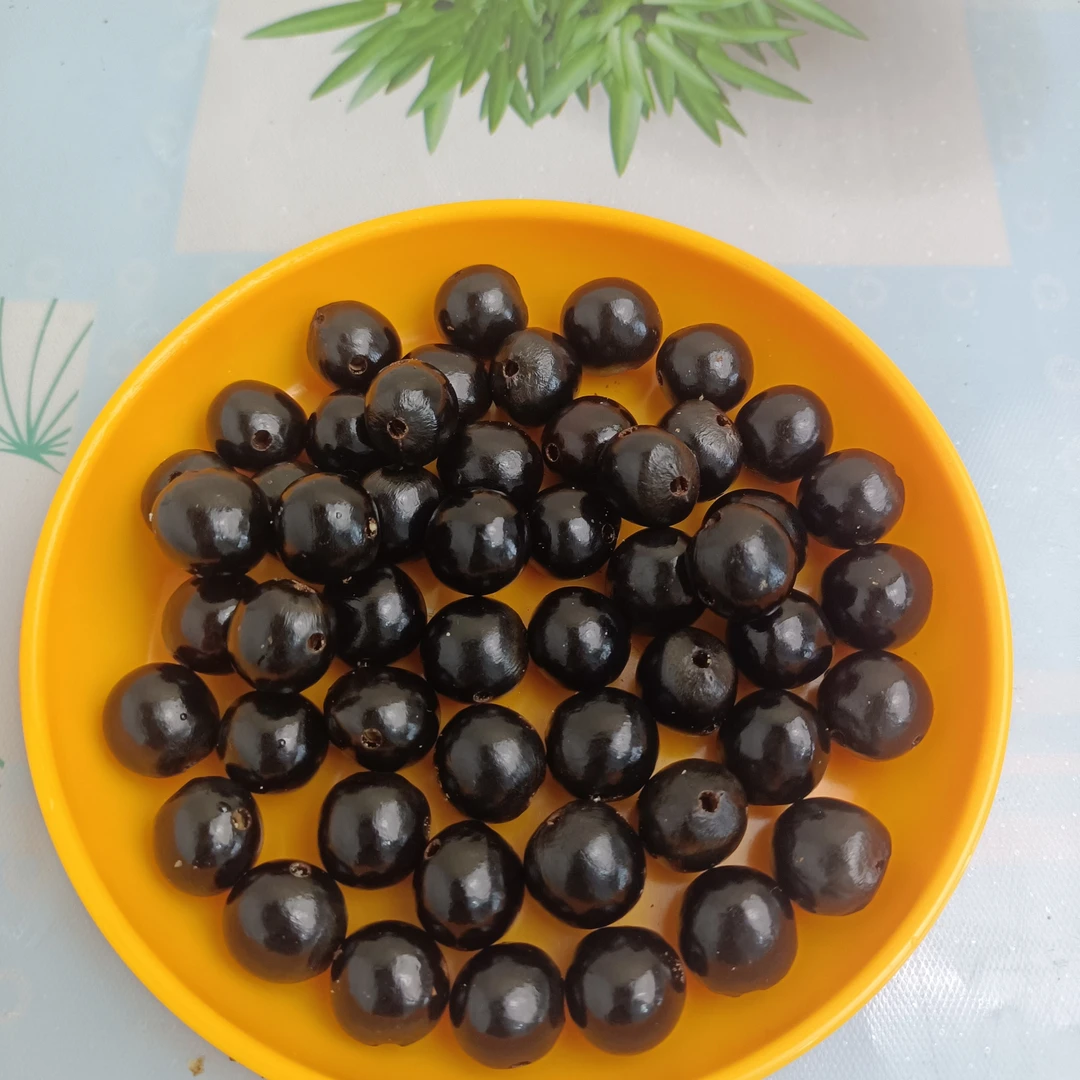 非金属木质天然无患子配珠三通无磨无修散珠配籽不含佛头