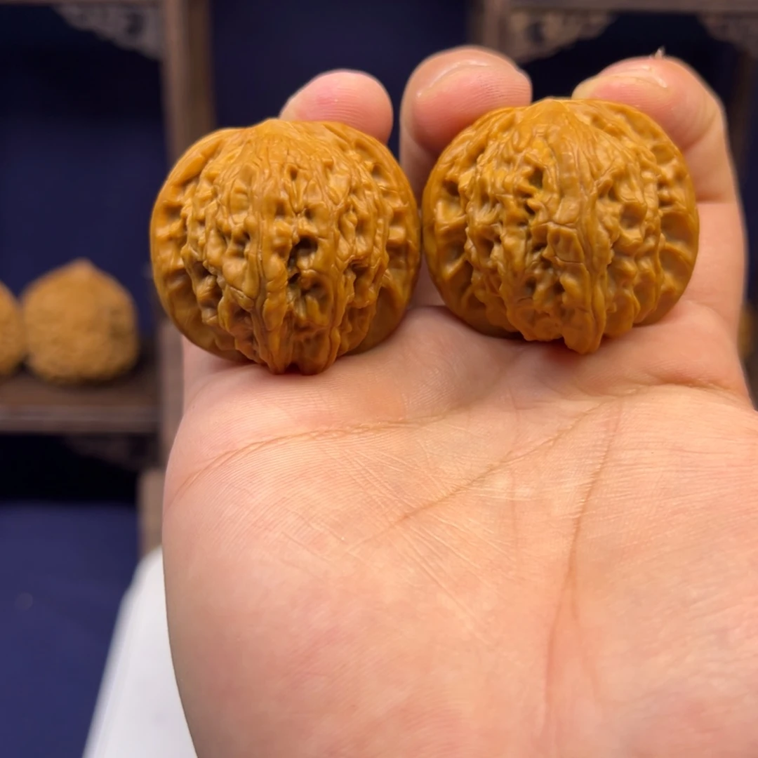 40+正磨 全品无修毕业级