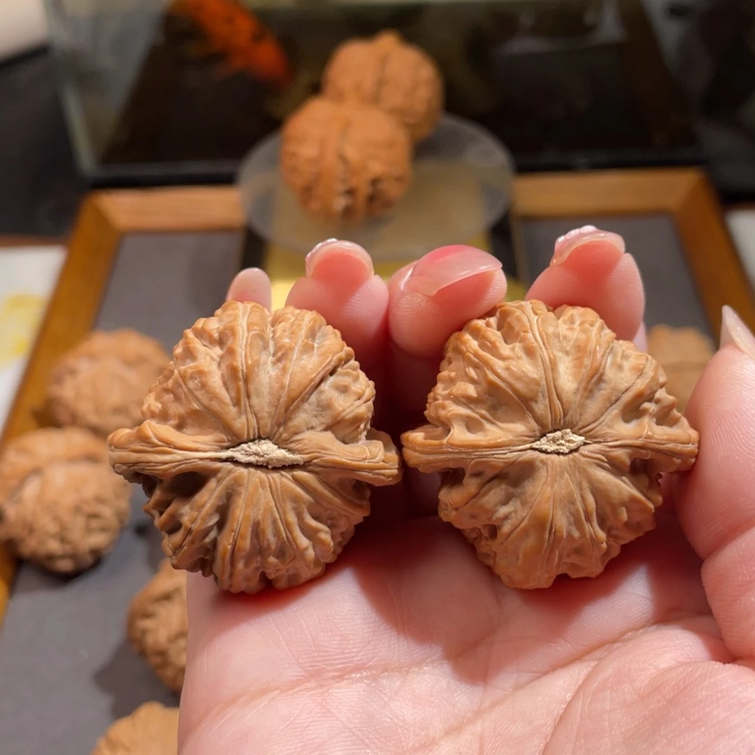 文玩核桃吊坠小*38白狮子