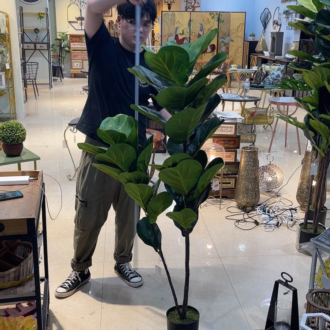 红陶红陶红陶红陶红陶