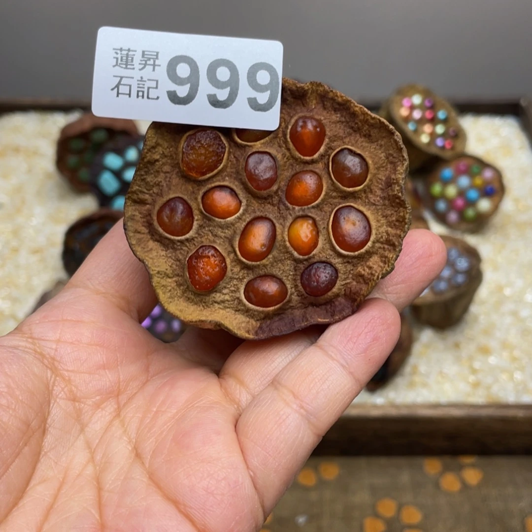 核桃木/黑胡桃（胡桃木）叶****菡999