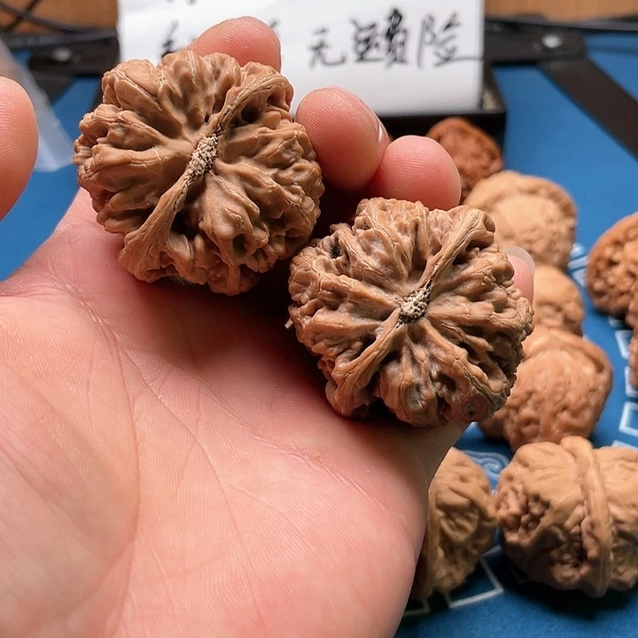 文玩核桃吊坠大粗筋