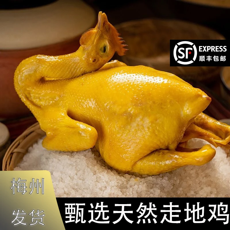 梅州盐焗老鸡【买一送二到手两只鸡一包鸡胗或翅中】客家脆皮盐焗鸡