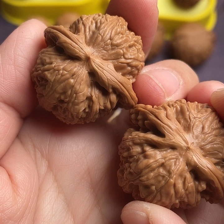 核桃文玩核桃白狮子精品边肚同尺