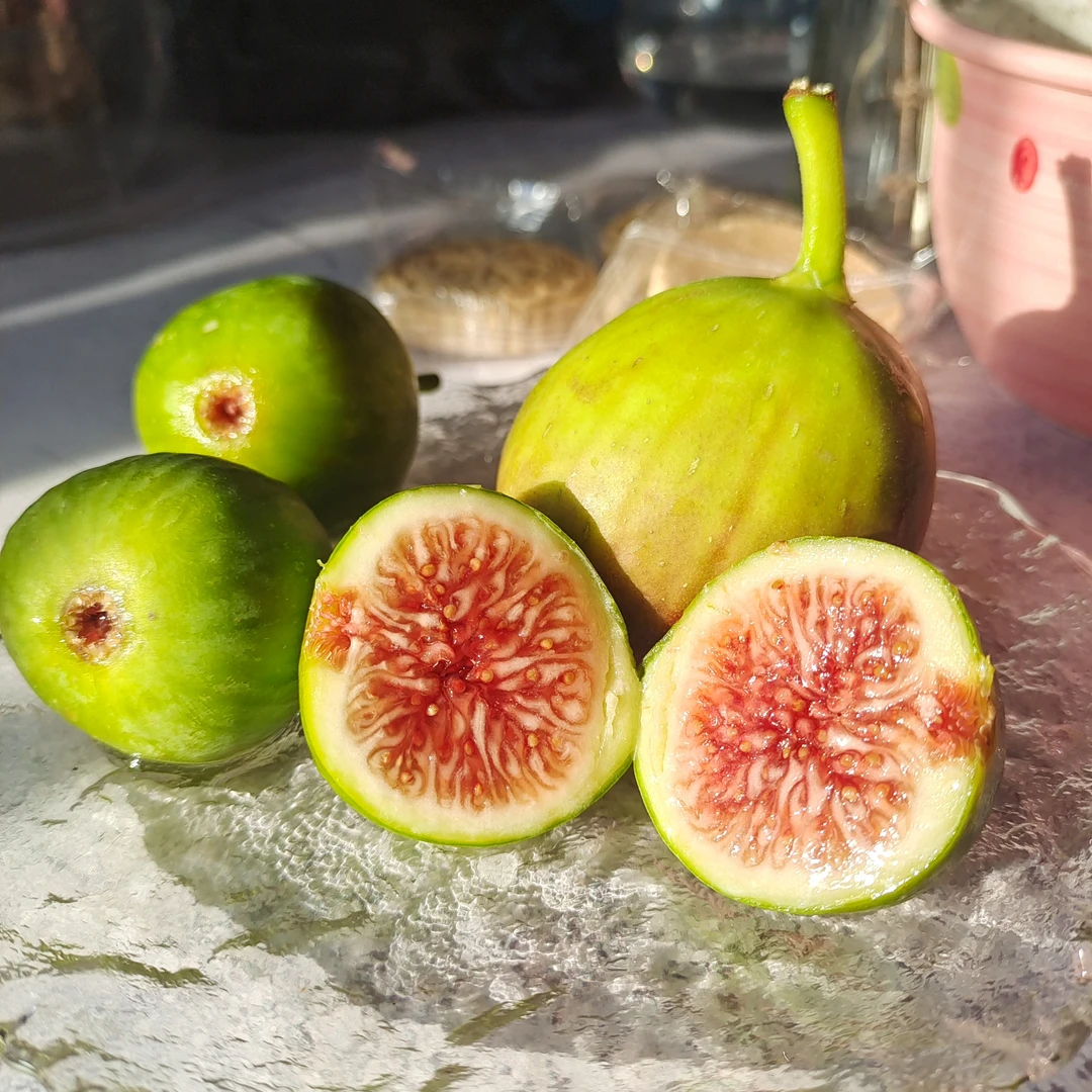 云南青皮无花果新鲜应季树上熟顺丰陆运现摘现发软糯香甜