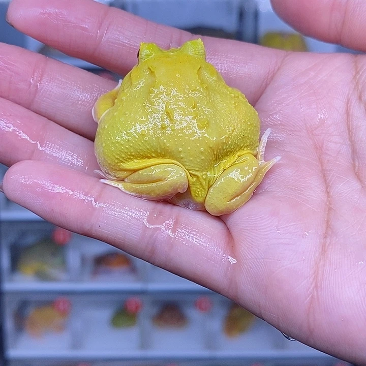 特价秒杀现货特价
