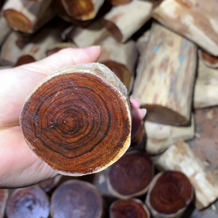 花梨木类海南黄花梨