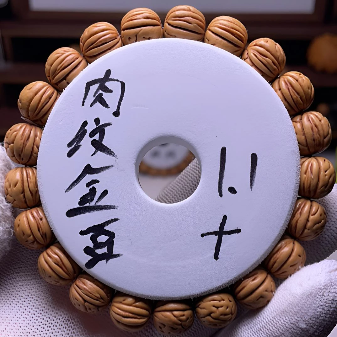 野生桃核肉文金豆尺寸 11+