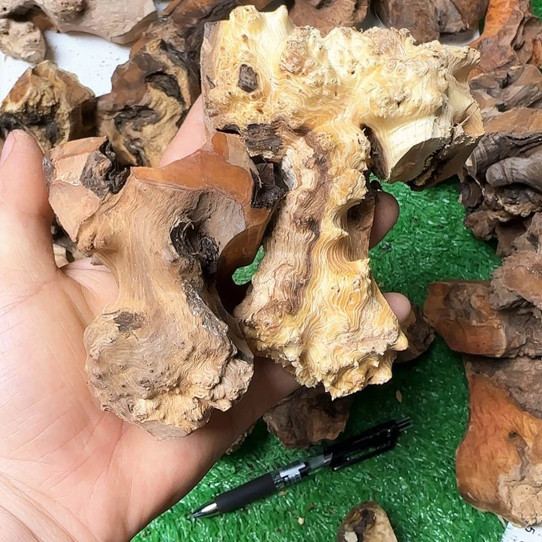 无花朵嘉***场2833868