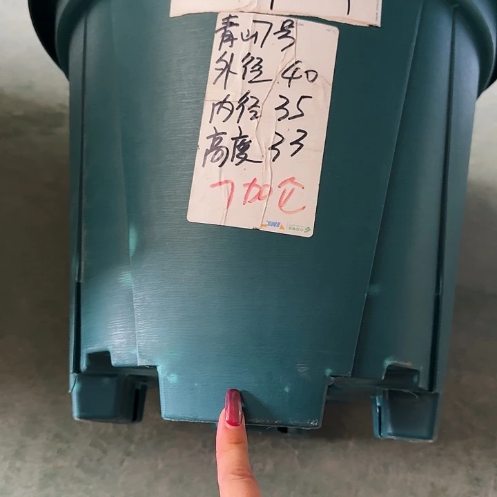 老青山7号军绿无托5个