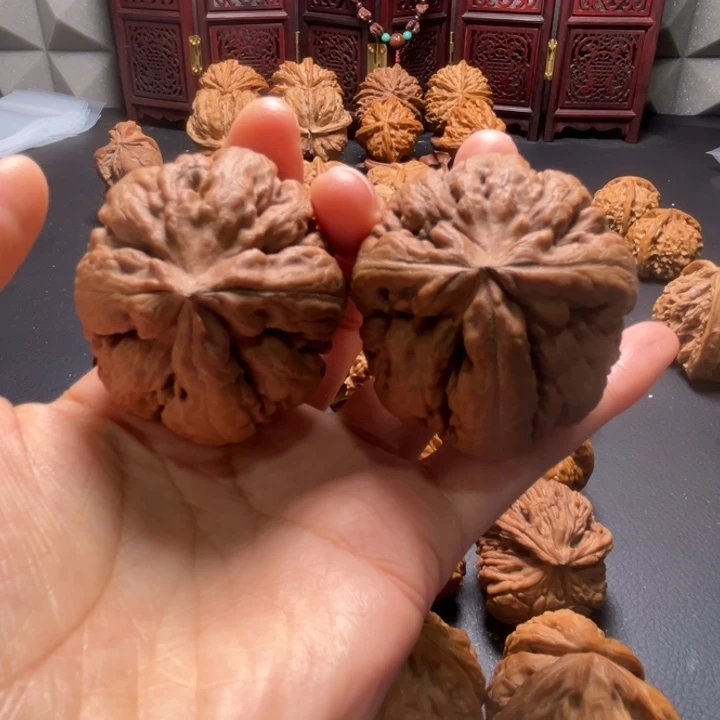 霸王龙全品丁字奔核桃哈还哈哈哈哈哈