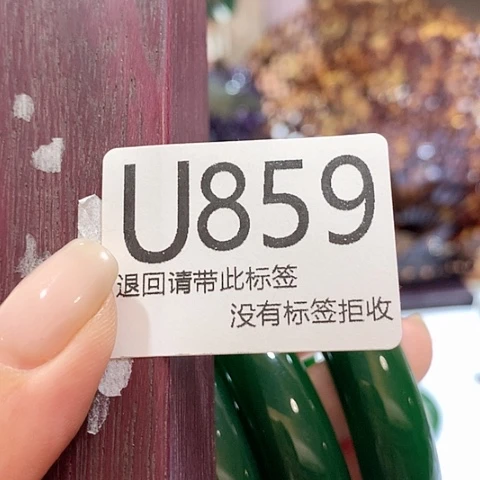 大叶紫檀（黑酸枝木类）859