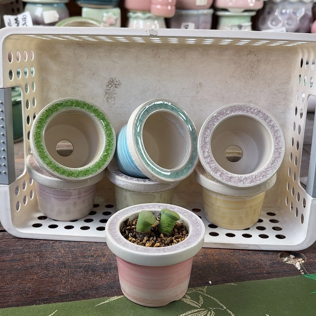 量货/口5高5深浅搭配发6